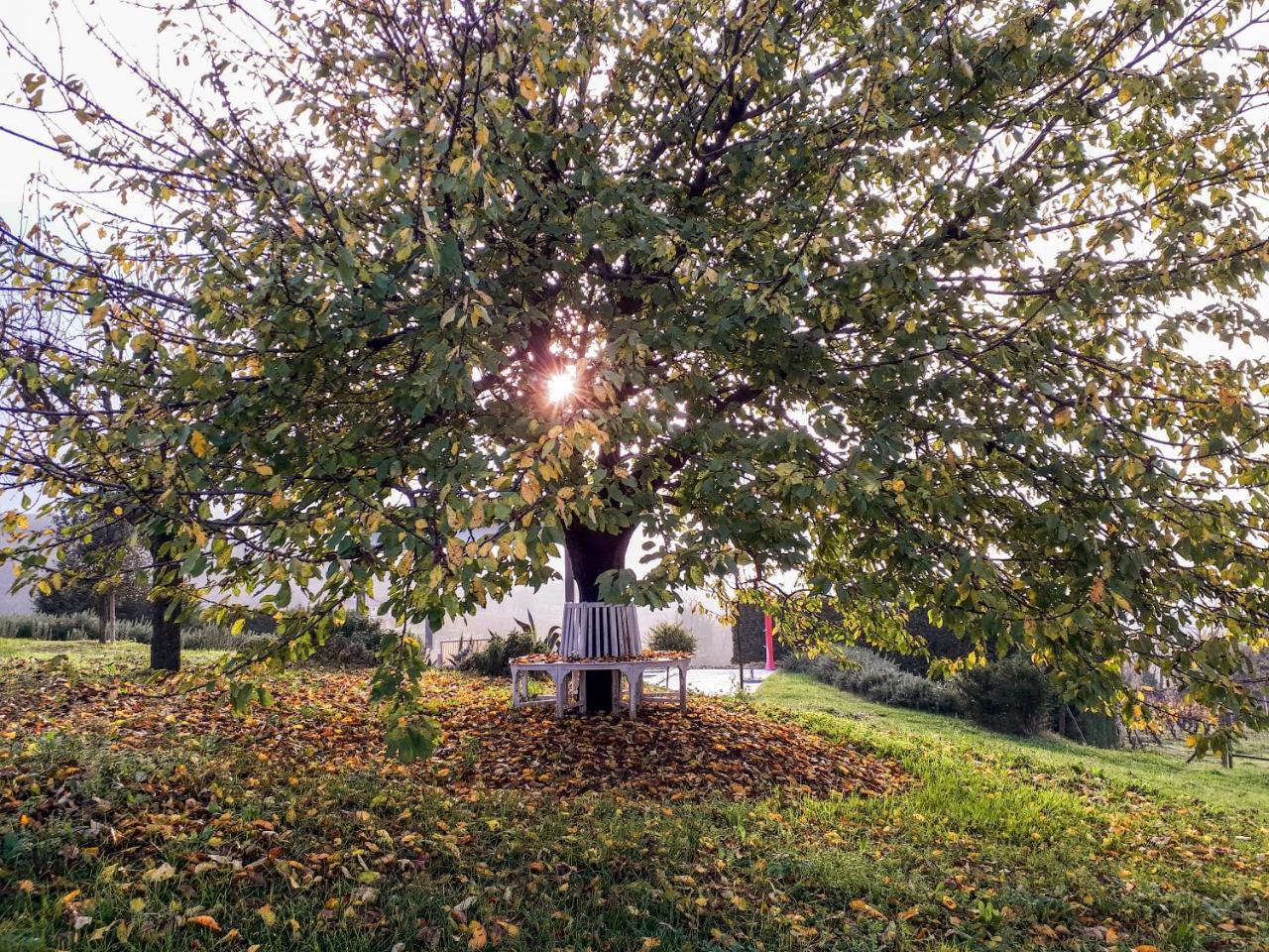 Casa Lucesole Pensionat Fontanile Exteriör bild